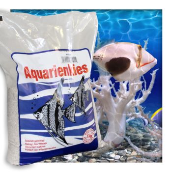 Aquariensand Aquariumsand Bodengrund 0,1-0,9 mm Aquarienkies hochrein Naturweiss 20 kg ( 4x 5 kg Beutel )