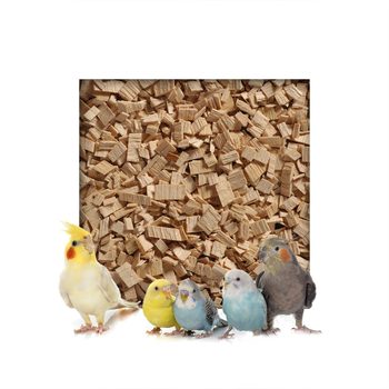 10 kg Buchenholzgranulat Vogelsand Bodengrund Terrariensand Einstreu Terrarium